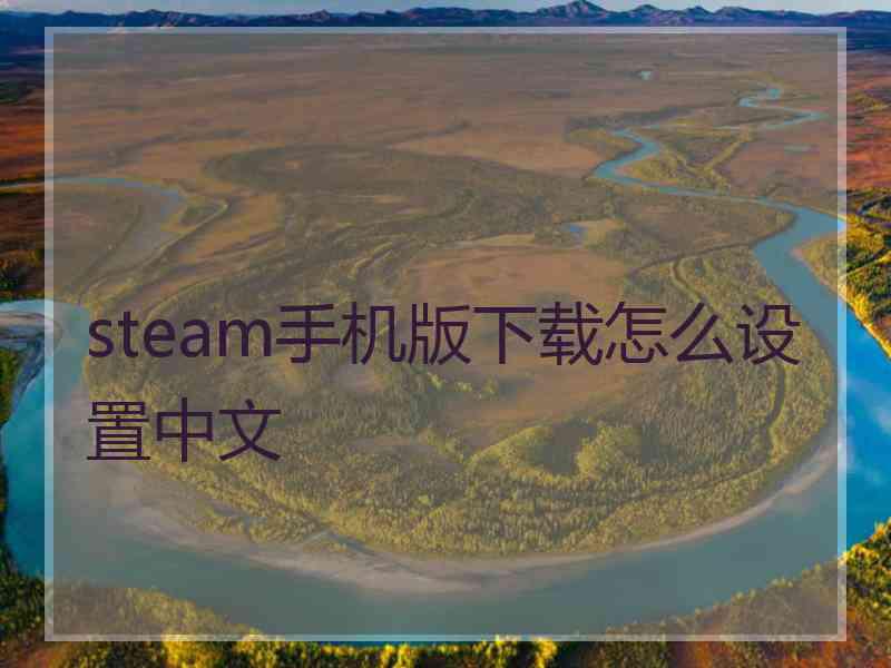 steam手机版下载怎么设置中文