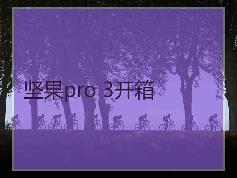 坚果pro 3开箱