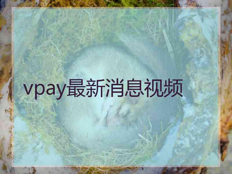 vpay最新消息视频