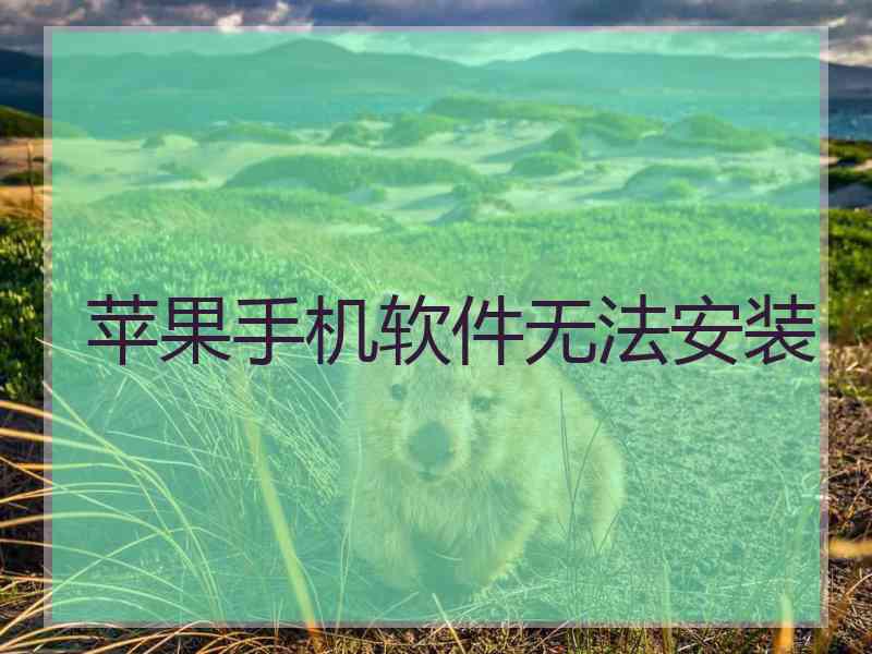 苹果手机软件无法安装