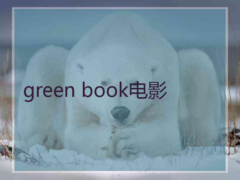 green book电影