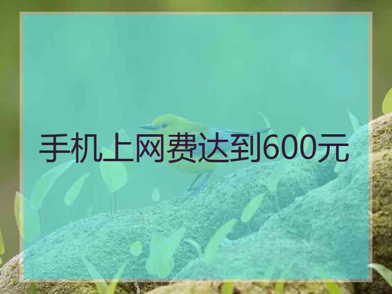 手机上网费达到600元