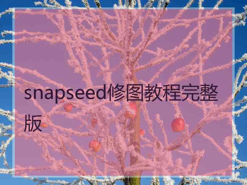 snapseed修图教程完整版