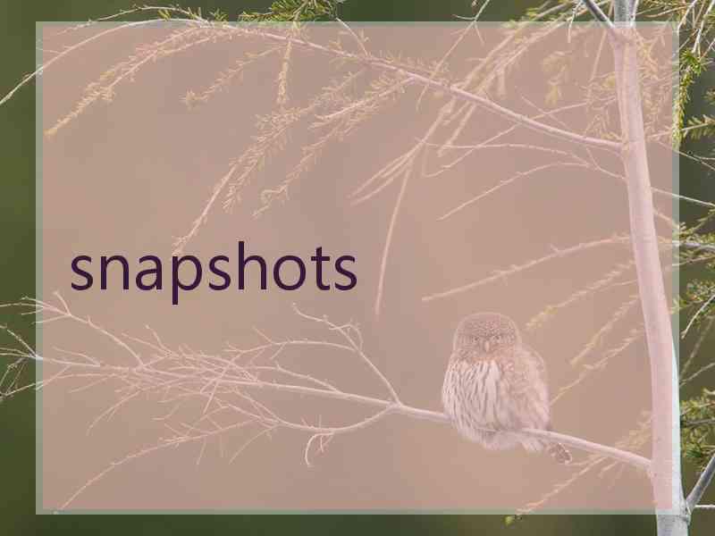 snapshots