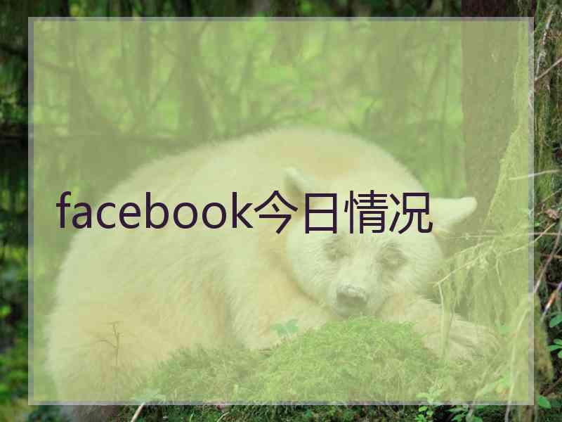 facebook今日情况