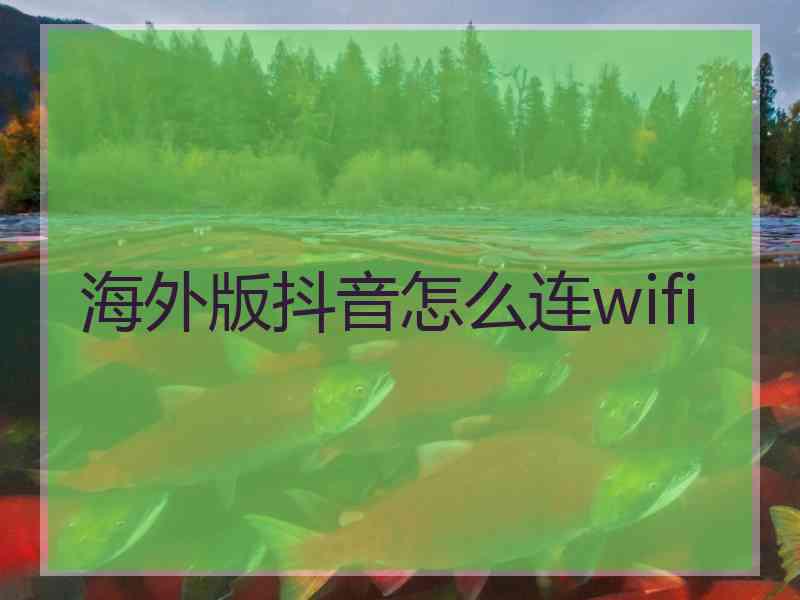 海外版抖音怎么连wifi