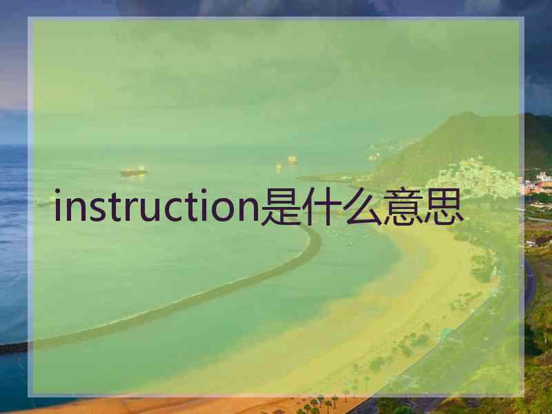 instruction是什么意思