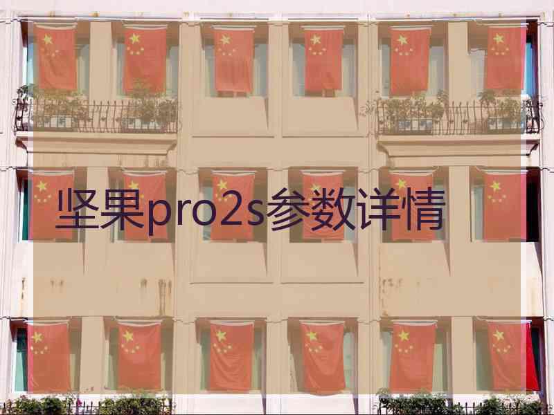 坚果pro2s参数详情