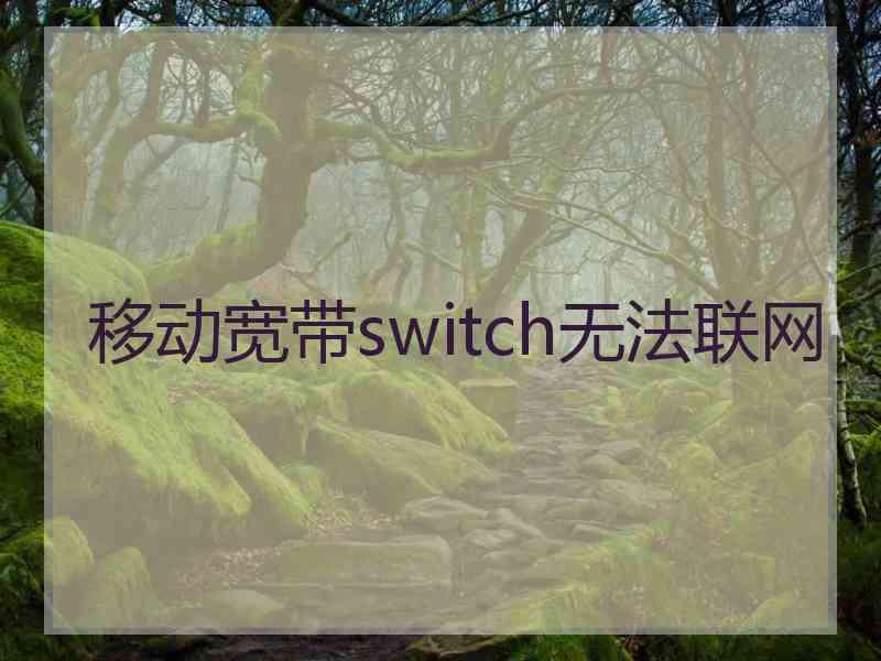 移动宽带switch无法联网