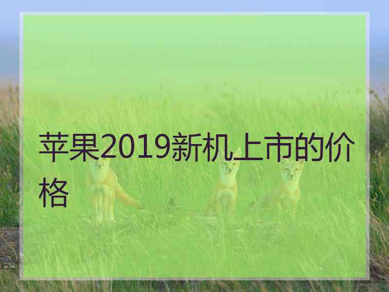 苹果2019新机上市的价格