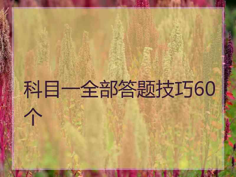 科目一全部答题技巧60个