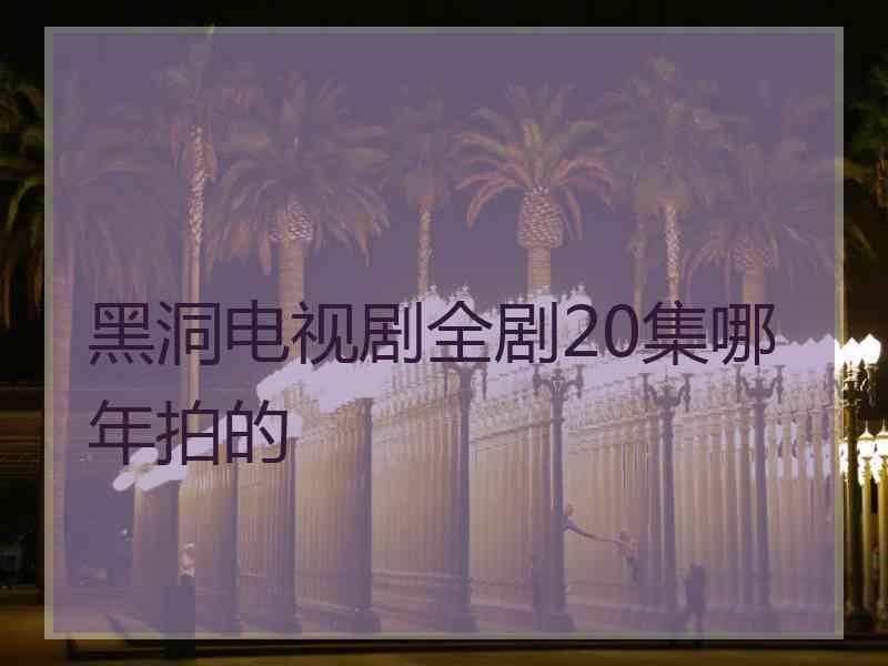 黑洞电视剧全剧20集哪年拍的