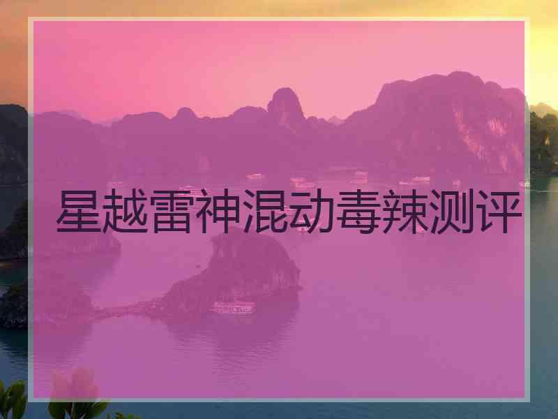 星越雷神混动毒辣测评