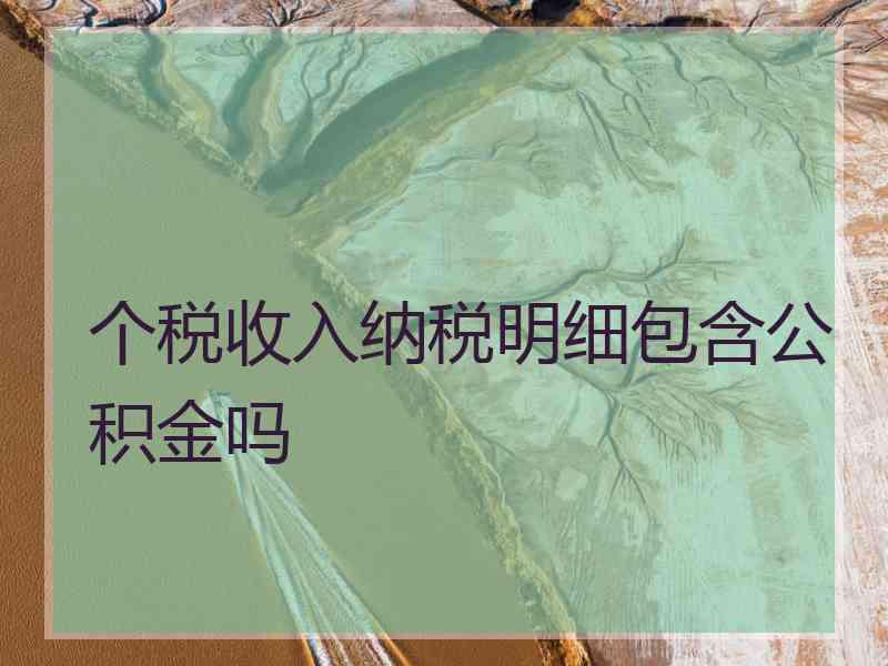 个税收入纳税明细包含公积金吗