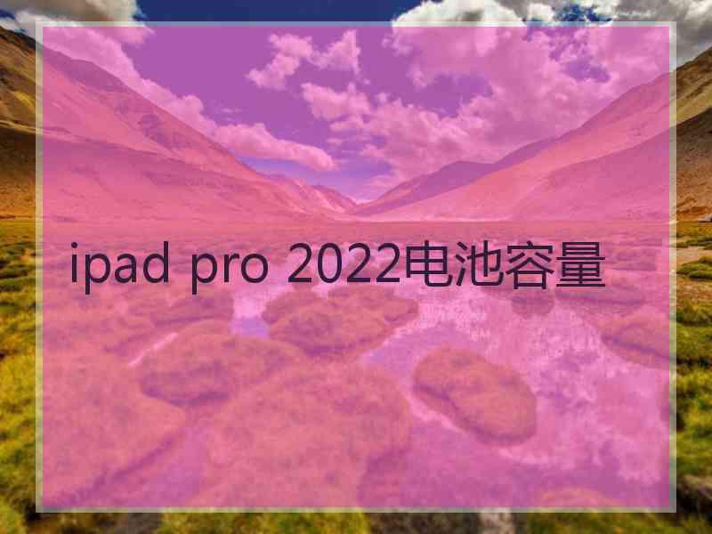 ipad pro 2022电池容量