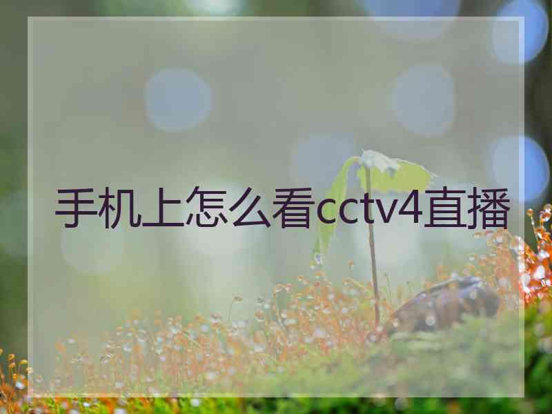 手机上怎么看cctv4直播