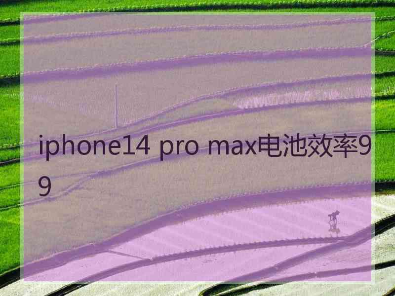 iphone14 pro max电池效率99