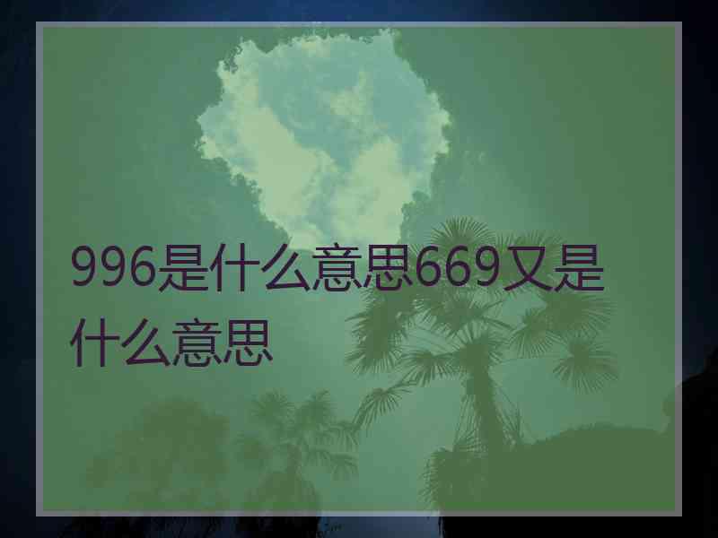 996是什么意思669又是什么意思