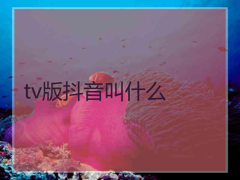 tv版抖音叫什么