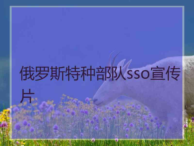 俄罗斯特种部队sso宣传片