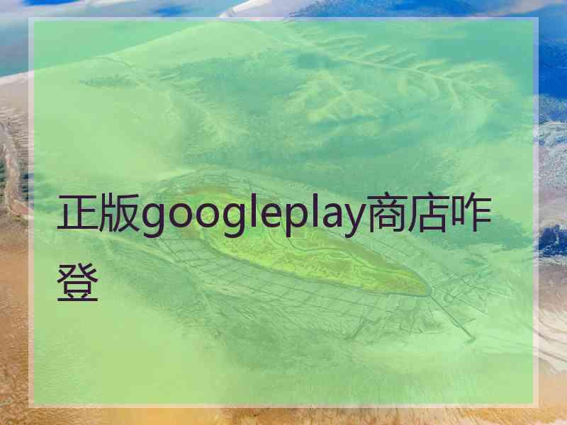 正版googleplay商店咋登