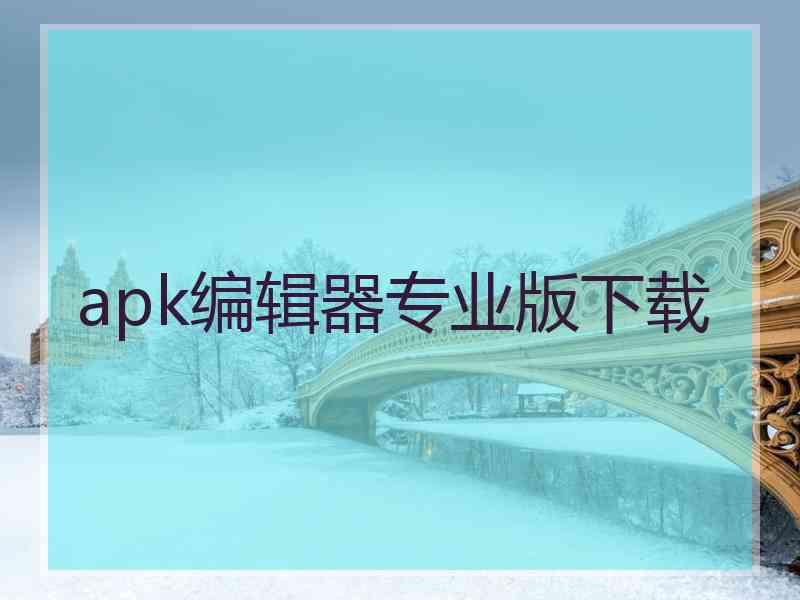 apk编辑器专业版下载