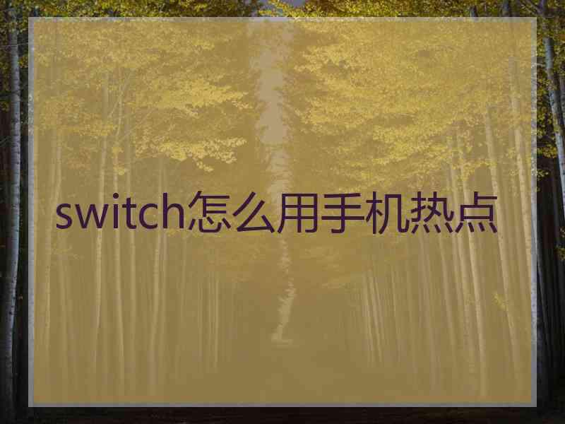 switch怎么用手机热点