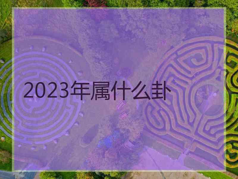 2023年属什么卦