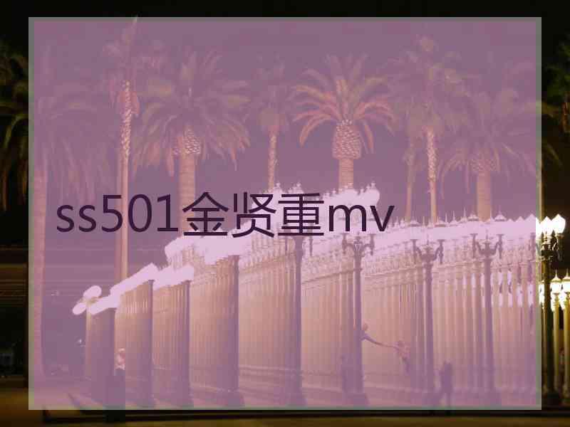 ss501金贤重mv