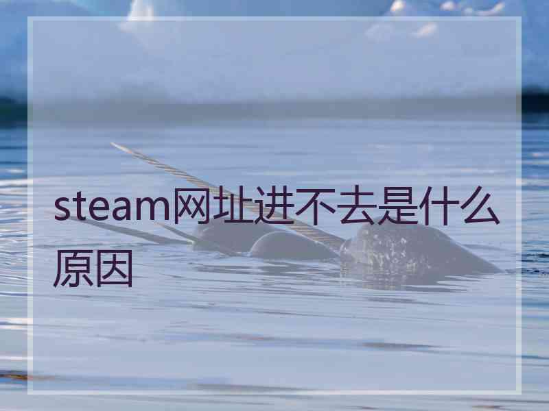 steam网址进不去是什么原因