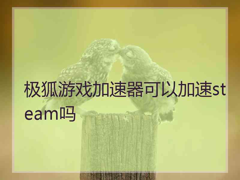 极狐游戏加速器可以加速steam吗