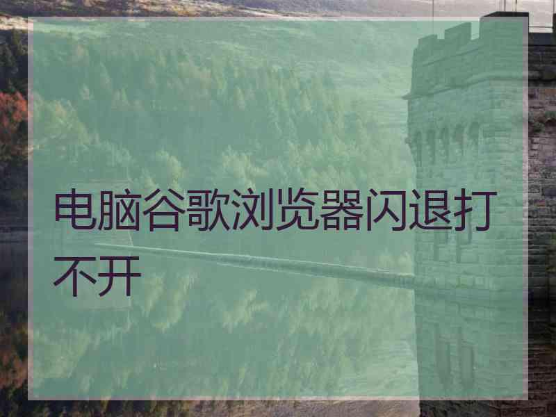 电脑谷歌浏览器闪退打不开