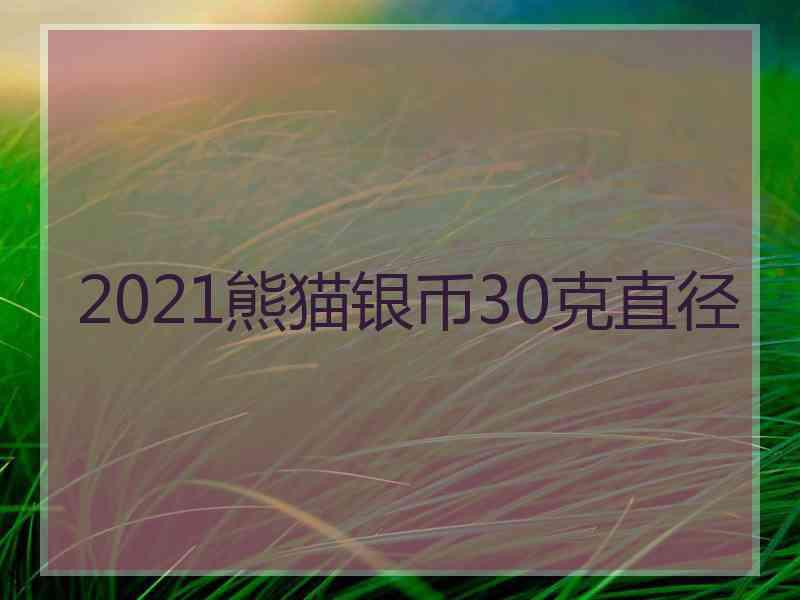 2021熊猫银币30克直径