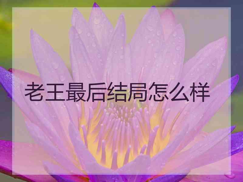 老王最后结局怎么样