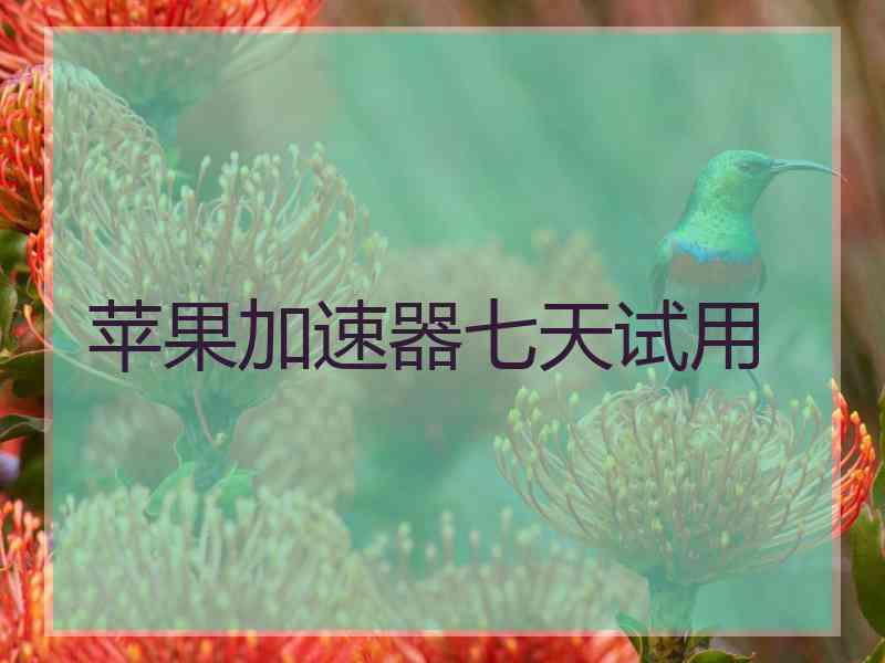 苹果加速器七天试用