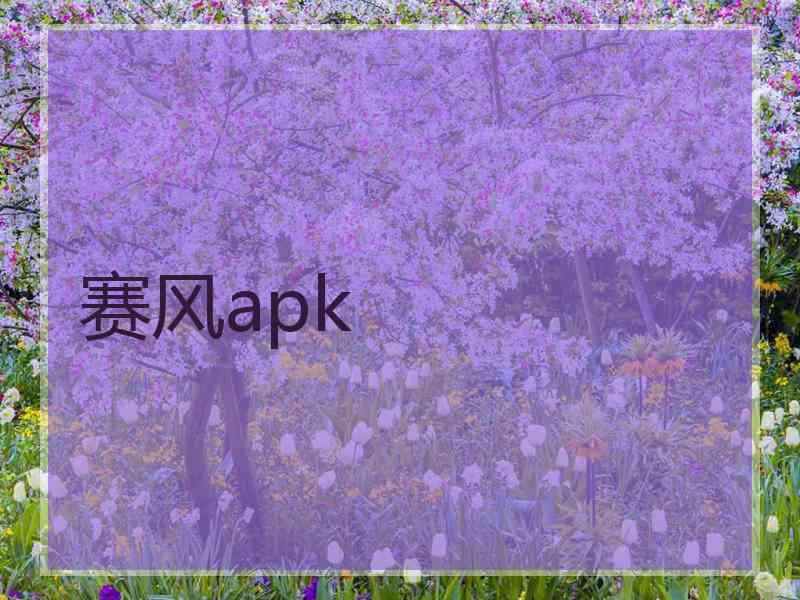 赛风apk