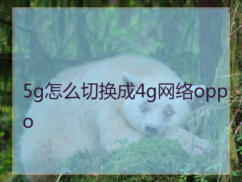 5g怎么切换成4g网络oppo