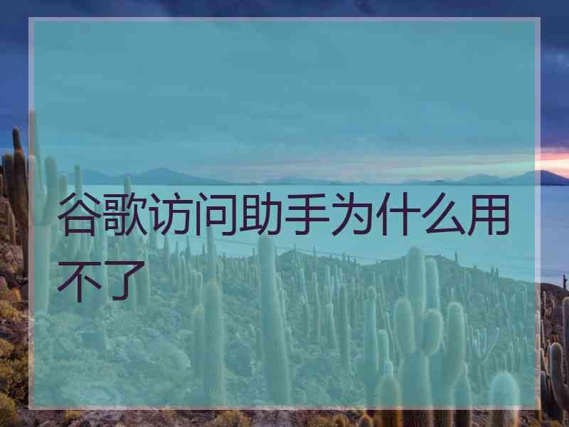 谷歌访问助手为什么用不了