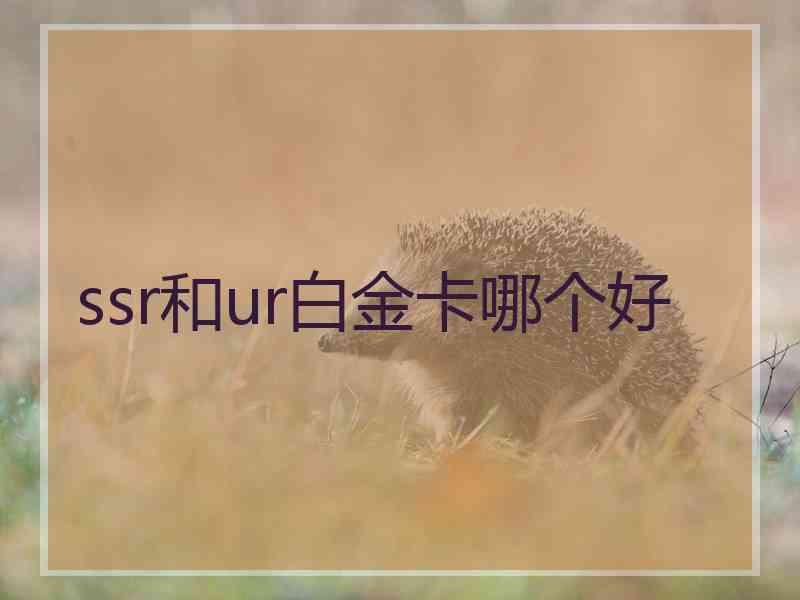 ssr和ur白金卡哪个好