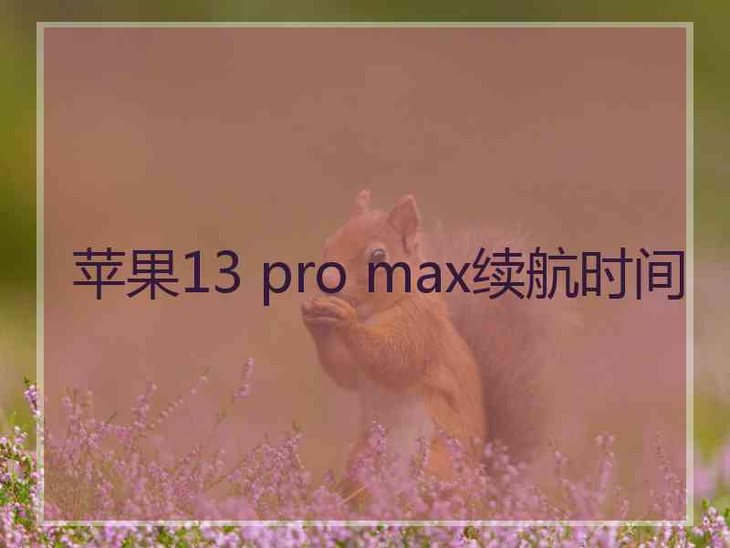 苹果13 pro max续航时间