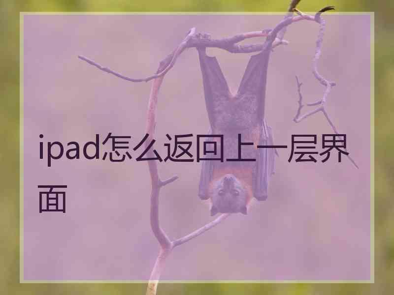 ipad怎么返回上一层界面