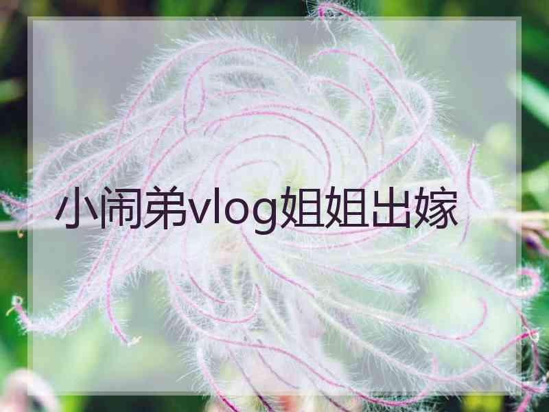 小闹弟vlog姐姐出嫁