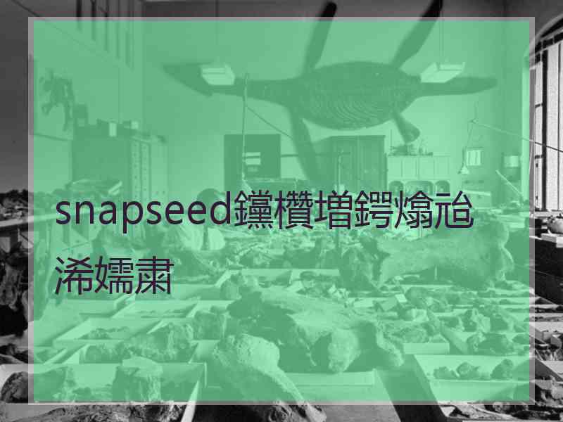 snapseed钂欑増鍔熻兘浠嬬粛