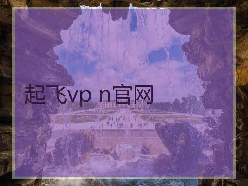 起飞vp n官网