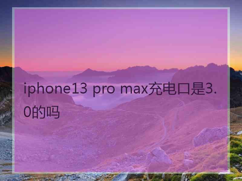 iphone13 pro max充电口是3.0的吗