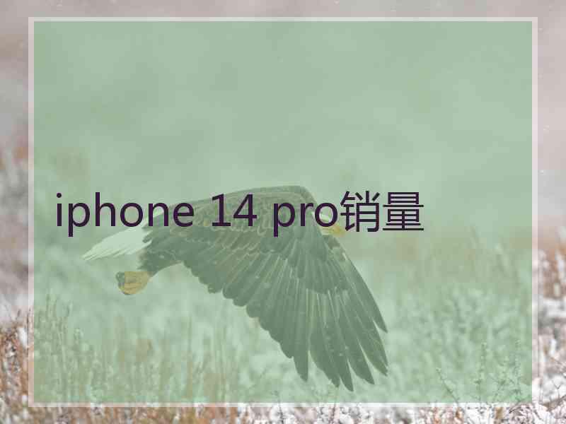 iphone 14 pro销量