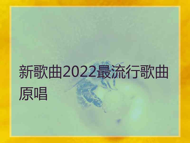 新歌曲2022最流行歌曲原唱