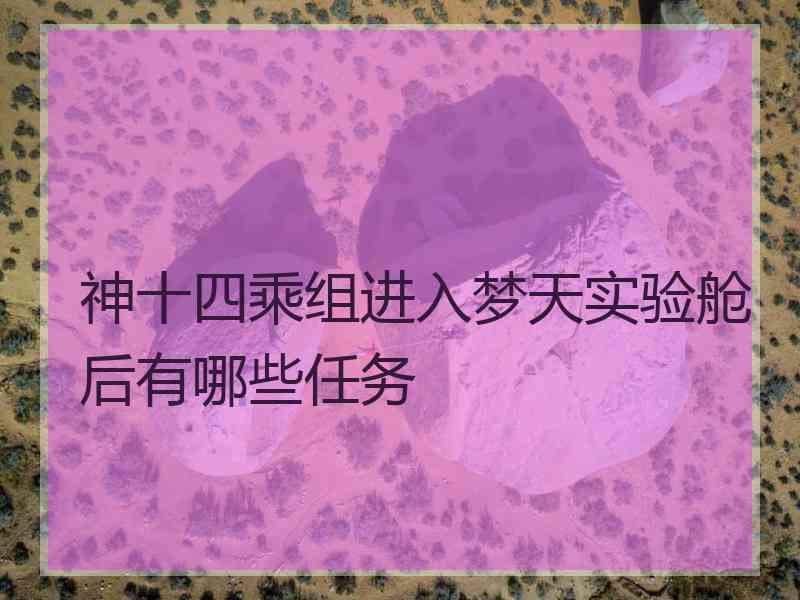 神十四乘组进入梦天实验舱后有哪些任务