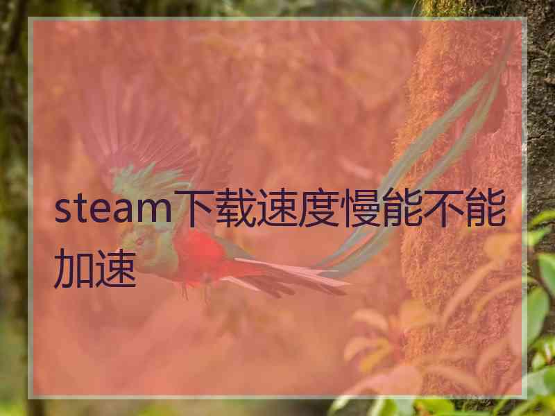 steam下载速度慢能不能加速