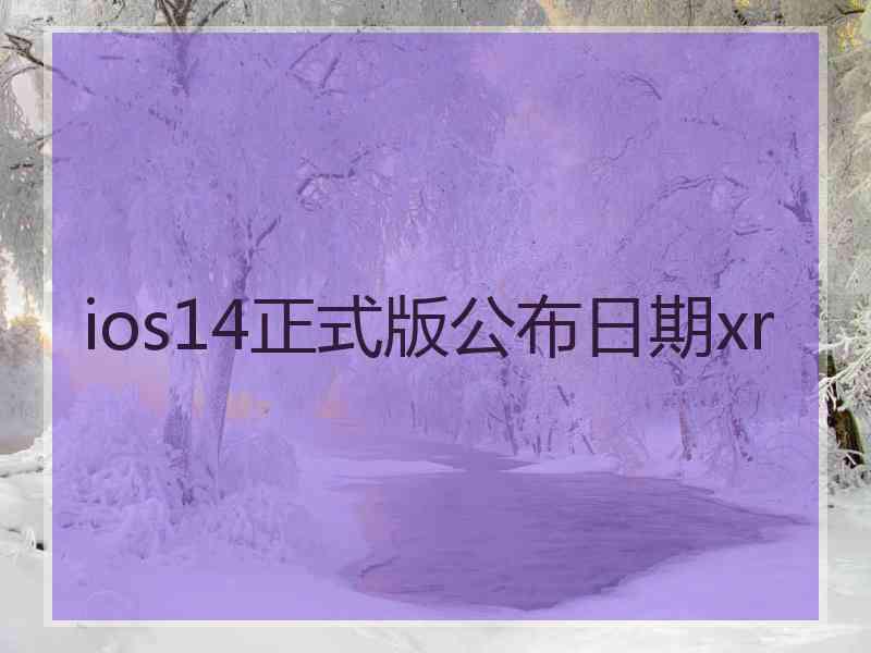 ios14正式版公布日期xr